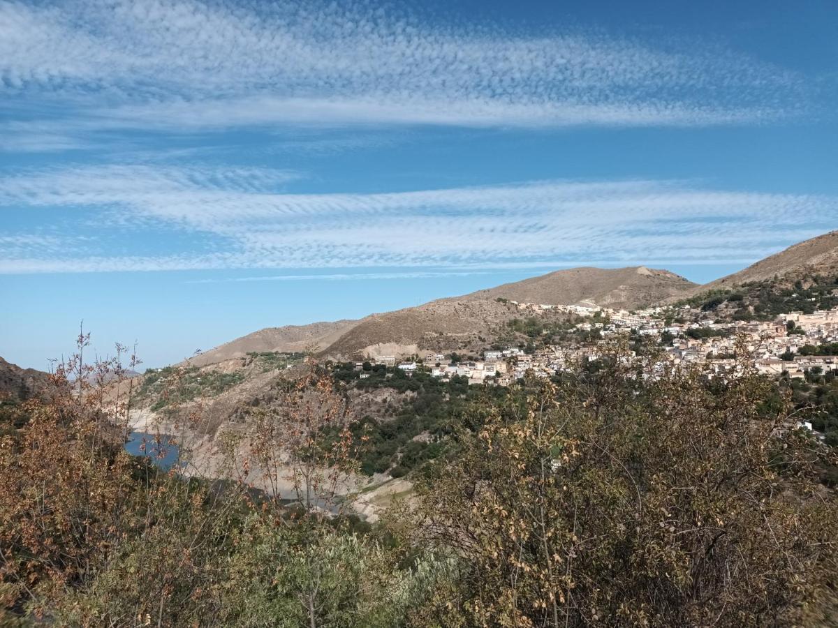 El Pilar *
